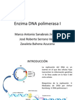 Enzima DNA Polimerasa I