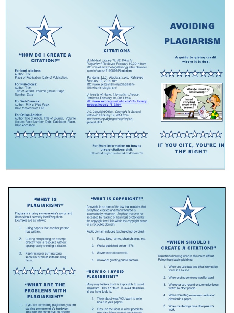 Brochure Assignment | PDF | Plagiarism | Citation