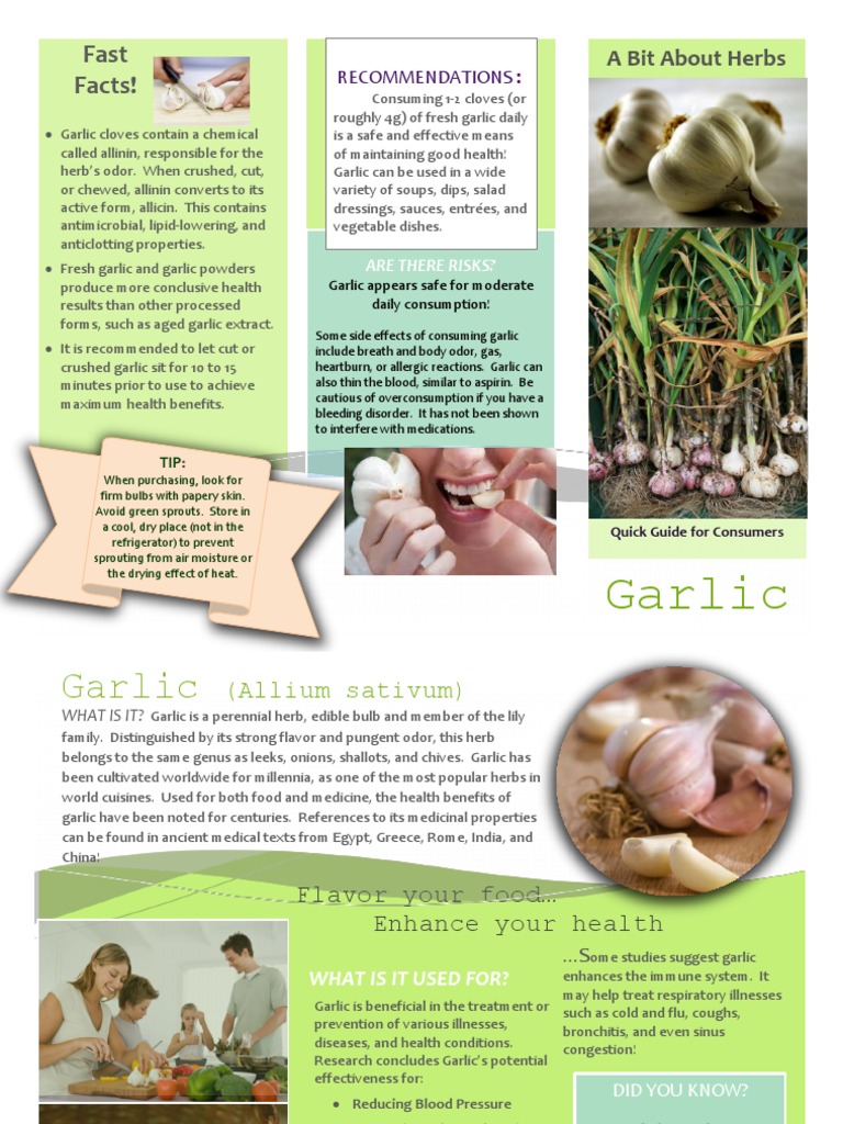 Garlic: Health Benefits \u0026 Uses | PDF | Garlic | Medical Specialties, image size:768x1024