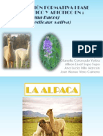 Estres Biotico Abiotico Alpaca y Alfalfa Final