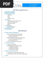 SAP CRM Conceptual Overview