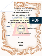 Implementacion de Un Plan de Seguridad Salud y Medio Ambiente