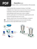 Download Basic network  Server Khmer by sovantha SN221137348 doc pdf