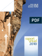 Bvb Raport Anual 2010 Web