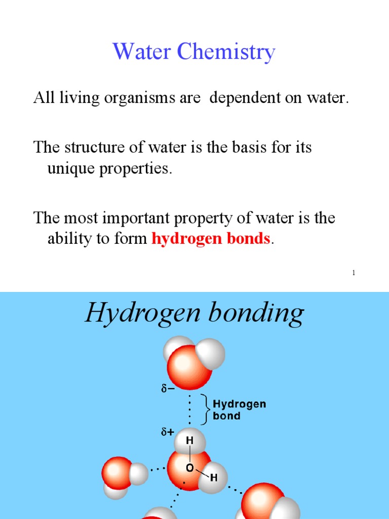 Water Chemistry and Its Properties | PDF | Properties Of Water | Solution