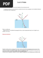 LuzVisao_resumo