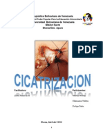 CICATRIZACION.docx