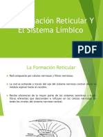 La Formación Reticular Y El Sistema Límbico.pptx