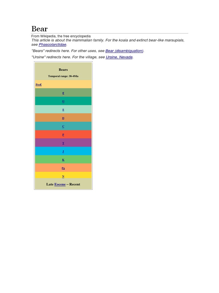 Phascolarctidae Bear (Disambiguation) Ursine, Nevada PDF Bears