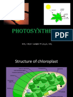 176868440 Photosynthesis