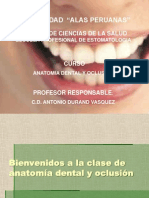 001 Primera Clase Anatomia Dental
