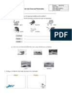 Evaluación de Ciencias Unidad I Lecciones 3,4,5