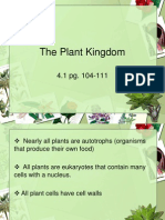 Plant Kingdom Section 4 1