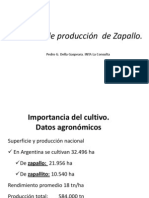 1 T Cnicas de Producci N de Zapallo