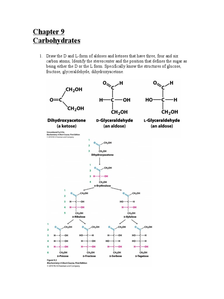 Carbohydrate Structures, Properties, and Functions An InDepth Look at