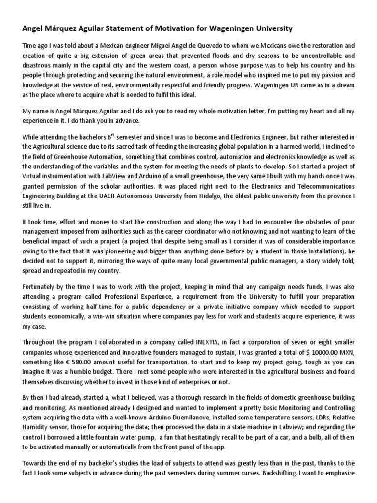 Sample motivation statement for employment image