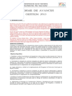 informe narrativo 2013