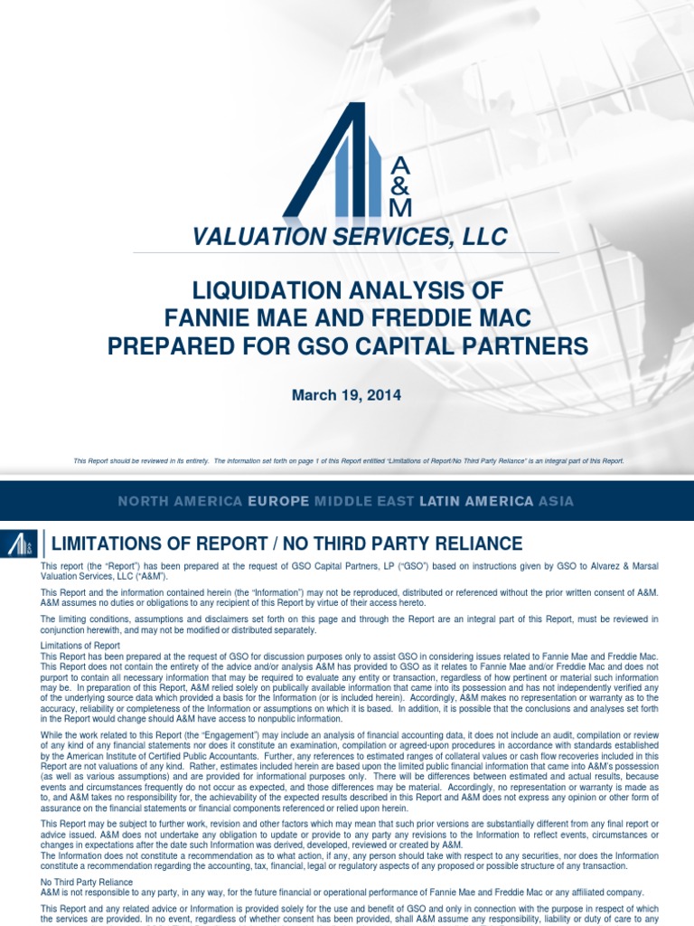 FNMA FHLMC Liquidation Valuation Analysis PDF Mortgage Backed