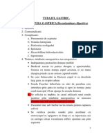 Spalatura Gastrica PDF