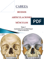 Odontologia Tema 3 (AUX - ENFERMERIA) Musculos y Huesos