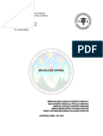 Investigación Brucelosis Caprina 2014