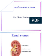 14 Renal Stone, Hydronephrosis, &polycystic K
