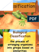 Classification of Life Taxonomy