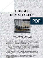6 Dematiaceos