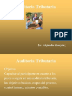 Auditoria Tributaria 1