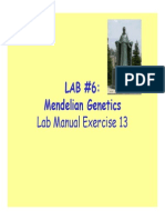 LAB6 Genetics1 Heredity (Simpson)
