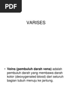 Download varises by PoppyAnditaWulandari SN221331611 doc pdf