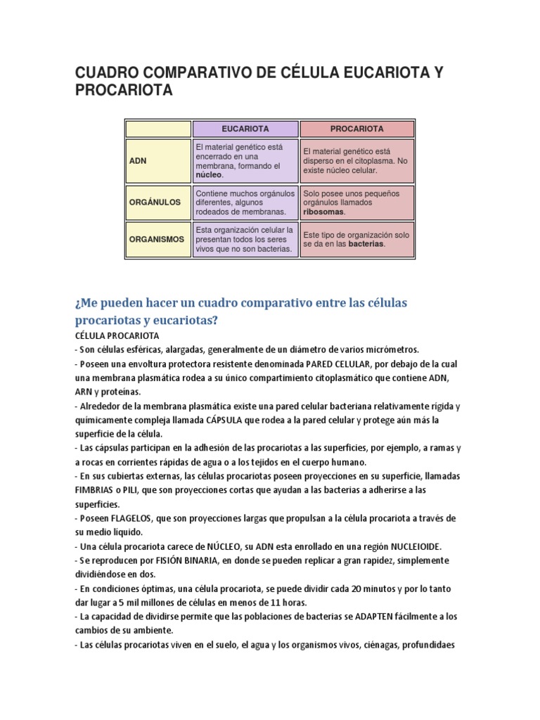 Comparativa de Células Eucariotas y Procariotas | PDF | Nucleo celular ...