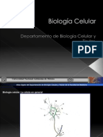 Propiedades fisiológicas células