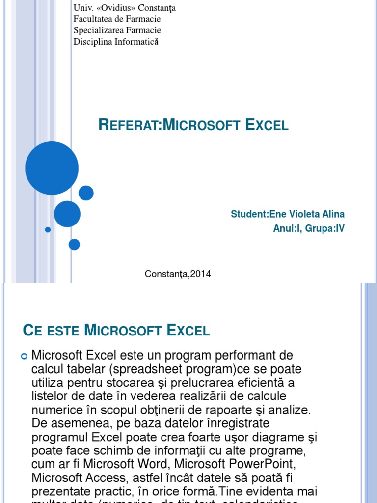 Referat Excel | PDF