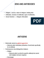 Antibodies structure