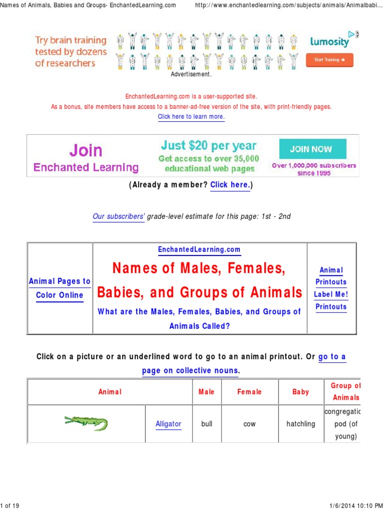names-of-animals-babies-and-groups-enchantedlearning-pdf-sheep