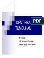 Identifikasi Tumbuhan