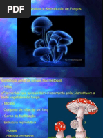 6729217 Ultraestrutura e Reproducao Dos Fungos