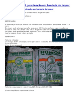 Germinação de Sementes em Bandeja de Isopor Passo A Passo PDF