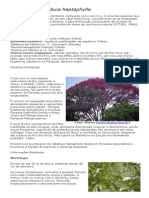 Tabebuia heptaphylla (Ipê-Roxo).pdf