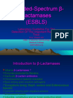 Extended-Spectrum β-Lactamases