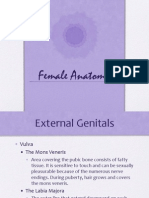 Female Anatomy-Powerpoint