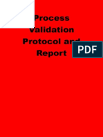 Process Validation Protocol and Report