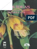 Orquideas Mexico