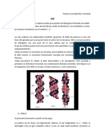 Tipos de Dna