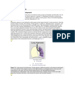 Pulmonary Underdevelopment