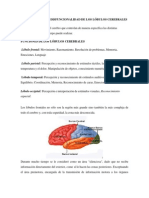 Semana 3. Tema 1 Lóbulo Cerebral Frontal, Occipital, Lóbulo Cerebral Parietales y Temporales (PDF), Funcionalidad y Disfuncionalidad de Los Lóbulos Cer