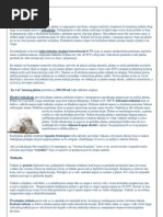 Download Impregniranje i Prepariranje platna  Impregnating and Prepariranje Canvas by AG-Metal Tretman Otpadnih VodaWastewater Treatment SN22148349 doc pdf