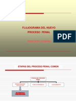 Flujograma de Etapas en El NCPP