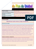 Plantilla Plan Unidad 1